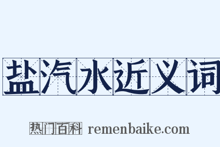 盐汽水近义词是什么意思的图片